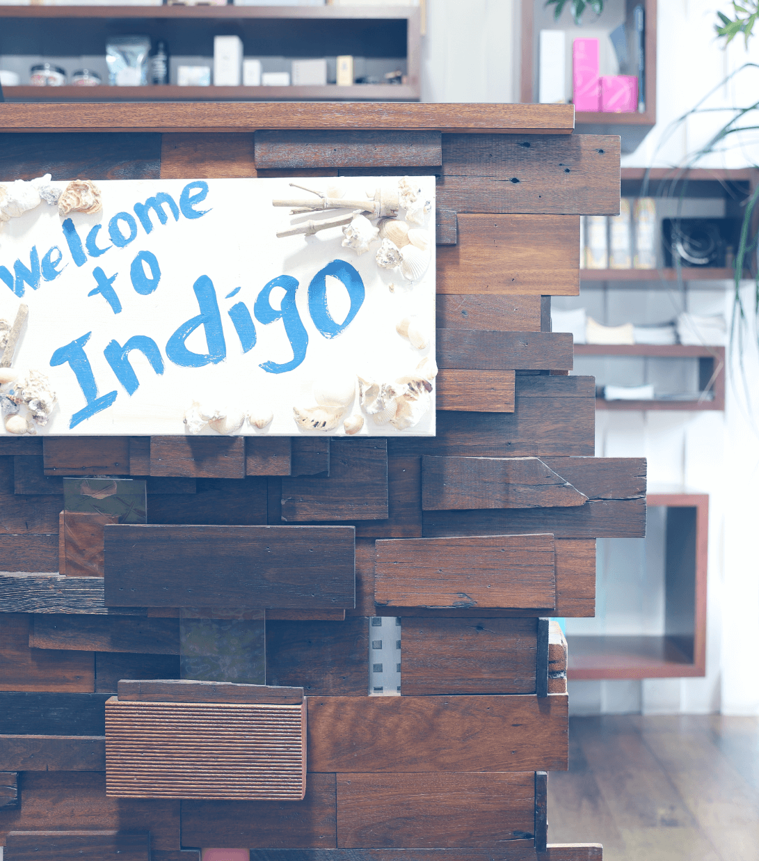 welcome to Indigo